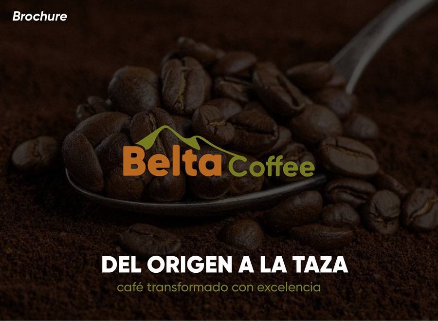 Brochure de marca de Belta Coffee